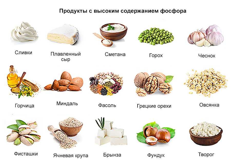 Бузина черная: лечебные свойства, противопоказания, описание растения