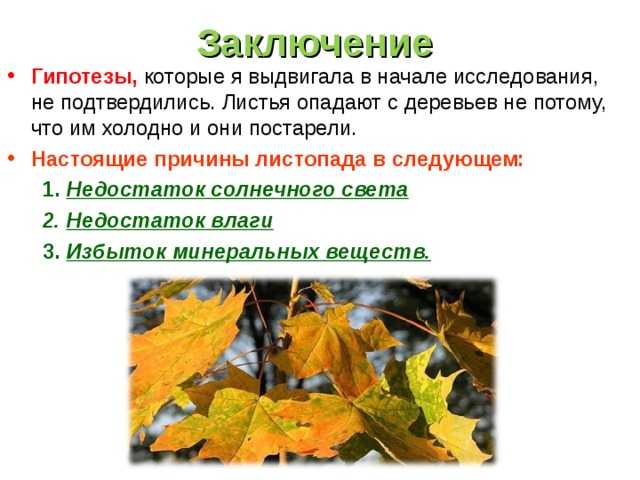 Почему желтеют листья у комнатных цветов и что делать в таком случае - sadovnikam.ru