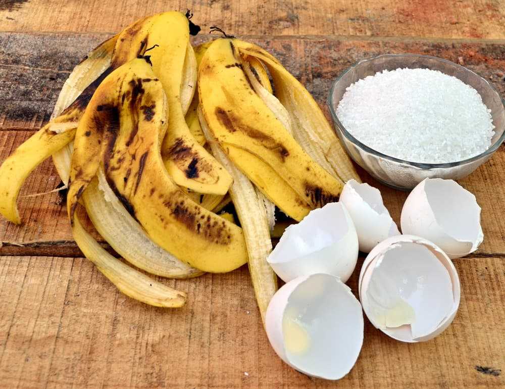 Банановая кожура: ценное удобрение, эффективное средство от тли и пыли на листьях   комнатных растений
