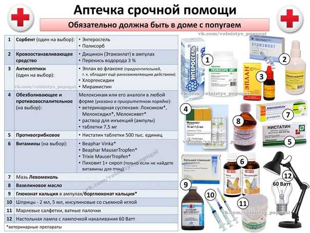 Россельхознадзор / к вопросу о применении медицинских препаратов в ветеринарии
