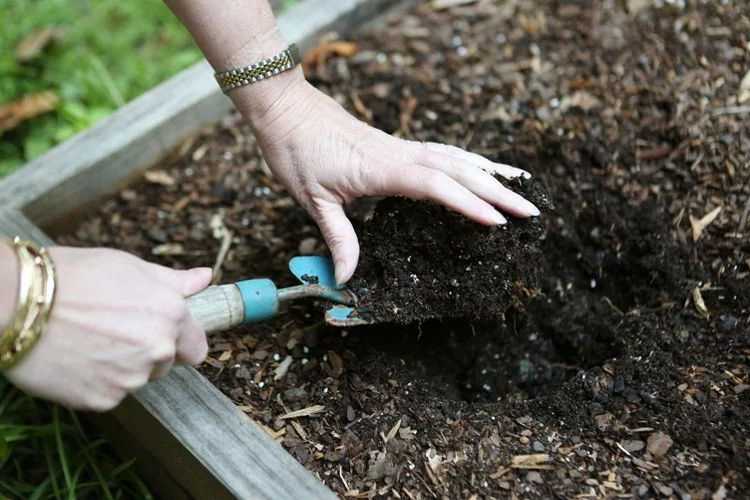 Почва после картофеля: уборка, обработка, восстановление | огородники