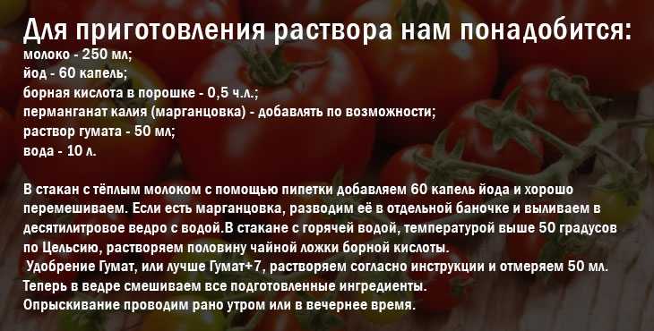Подкормка сывороткой: помидоры и огурцы - как обработать, как приготовить раствор, различные рецепты на основе кисломолочного продукта