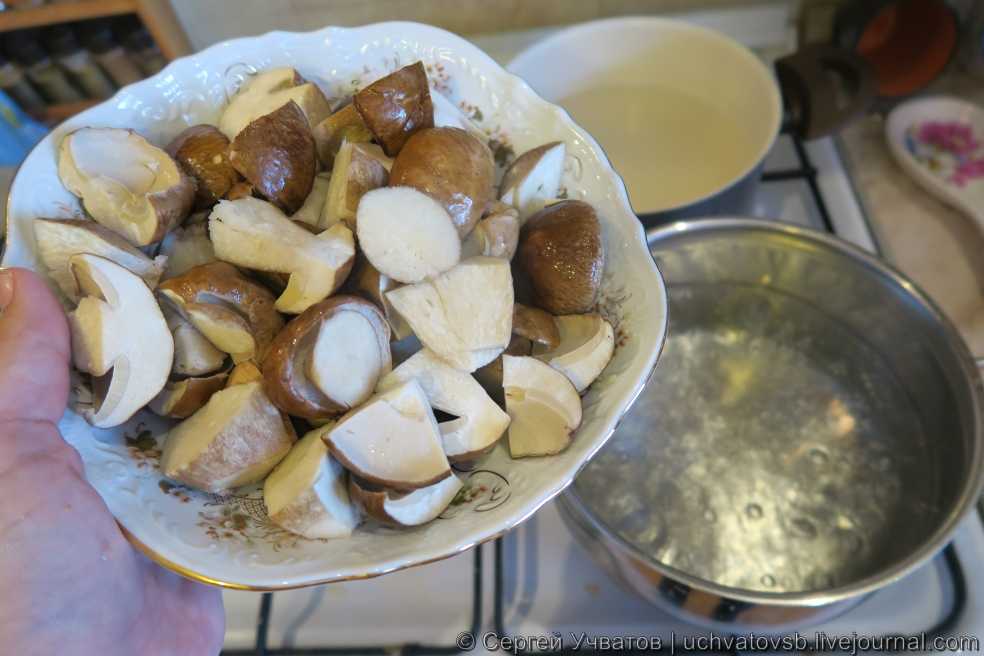 Можно ли готовить грибы. Вареные грибы. Вареные белые грибы. Отваренные белые грибы. Грибы белые отварные.