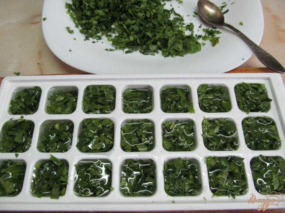 Как правильно заморозить листья шпината в домашних условиях на зиму, рецепты заготовок
