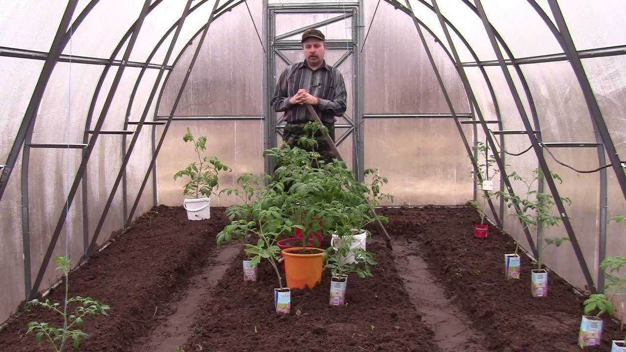Спасение от солнца в поликарбонатной теплице: группа практикум садовода и огородника