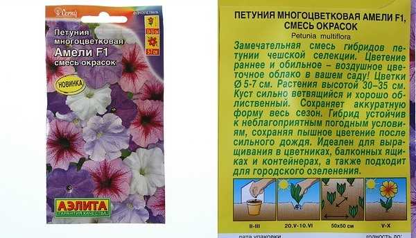 Петуния джоконда многоцветковая: цветочный ковёр