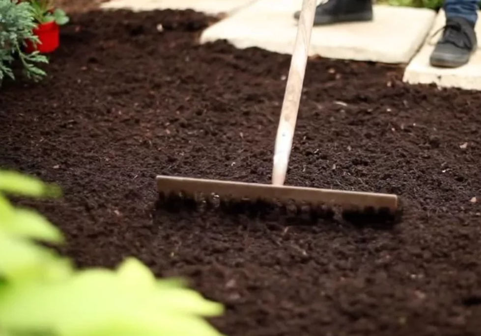 Почва для клубники: какая почва нужна для земляники, подготовка