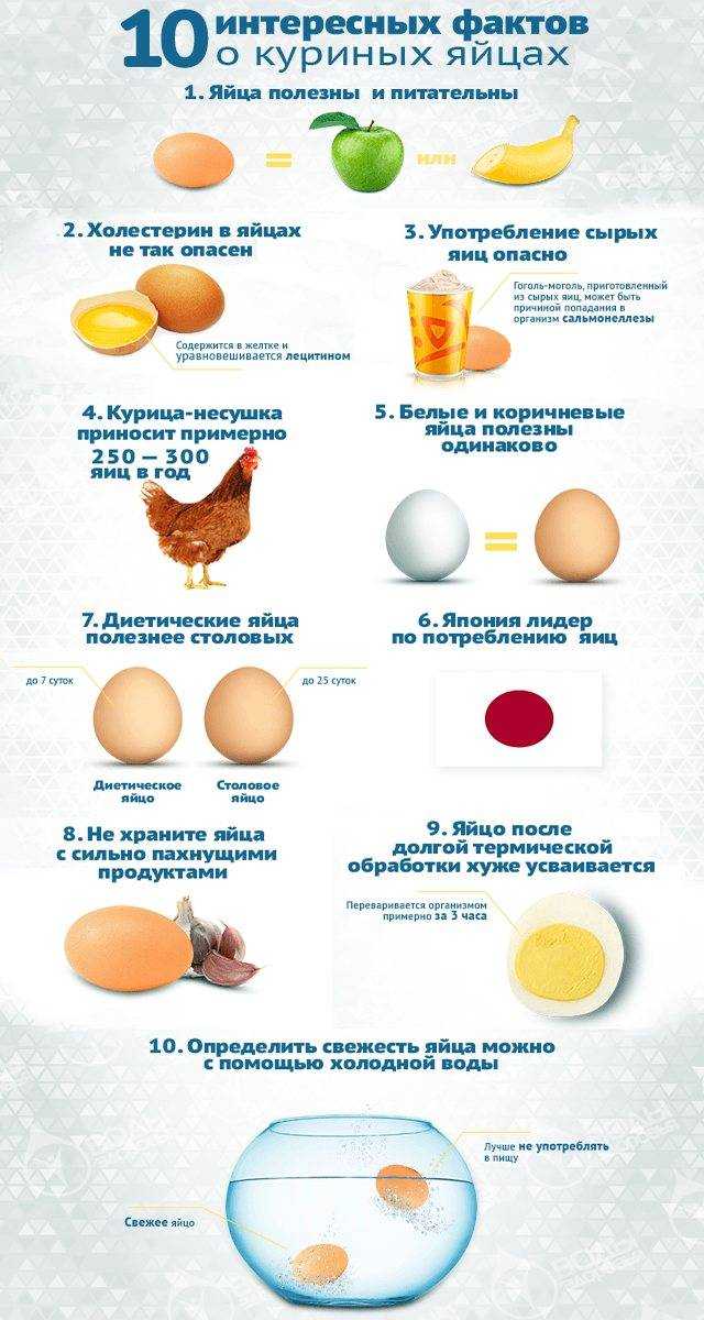 Большинство людей ошибочно думают, что коричневые яйца лучше, вкуснее и полезнее белых