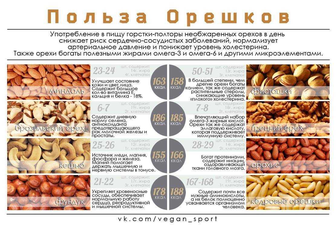 Все об арахисе: где растет, польза и вред для мужчин и женщин