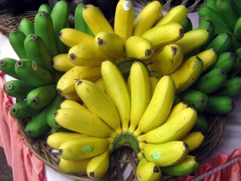 Красные бананы: отличие от желтых, как их есть, что с ними делать и как готовить, чтобы было полезно