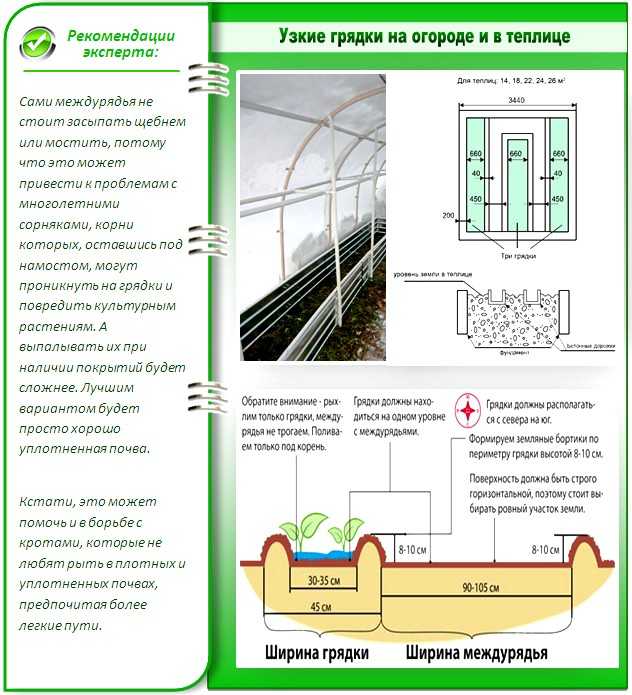 Технология выращивания овощей на узких грядках: митлайдеровский метод в русских реалиях