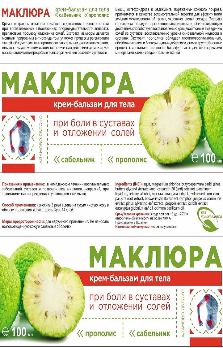 Маклюра: лечебные свойства, рецепты для суставов, отзывы, способы применения. маклюра оранжевая :: syl.ru