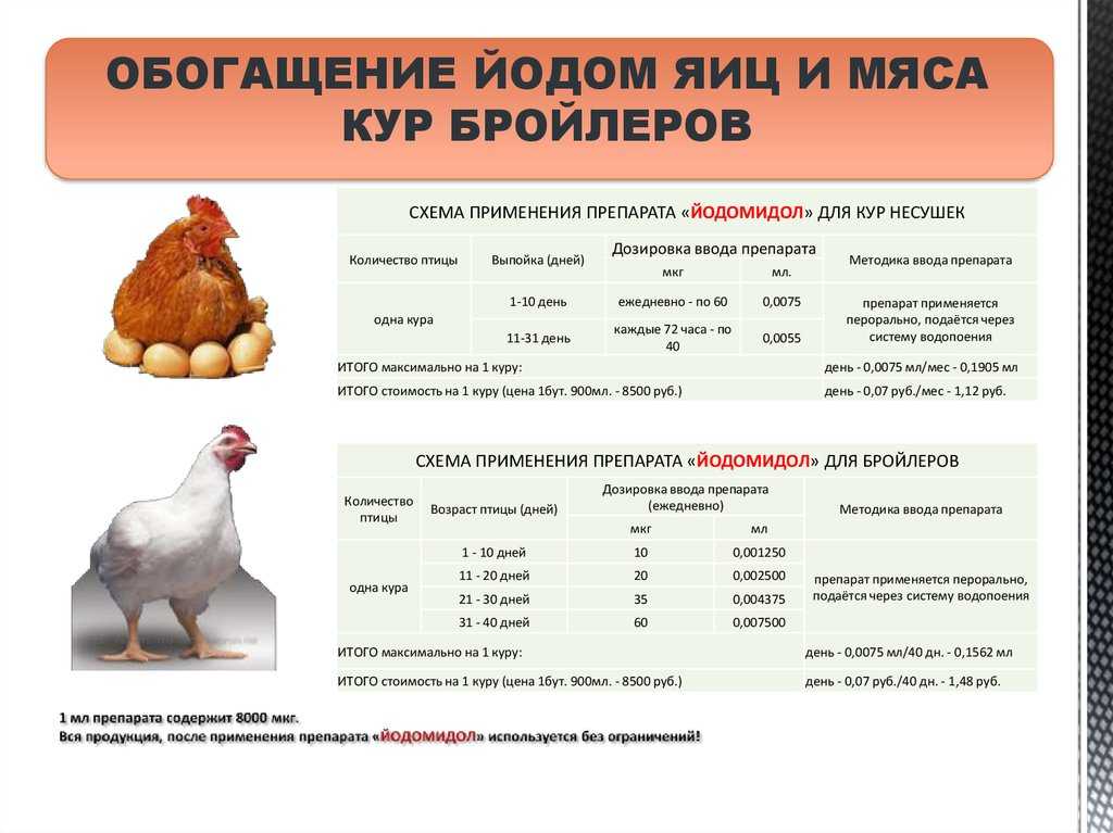 Гамматоник для цыплят: инструкция по использованию